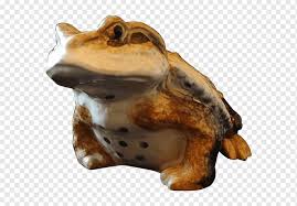 Tercatat ada lebih dari 80.000 spesies yang tinggal di sana. Kodok Umum Jepang True Frog Amphibian Frog Hewan Fauna Hewan Darat Png Pngwing