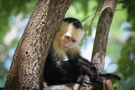 I Am Keeping A Close Eye On You Art Print by Brian Gustafson