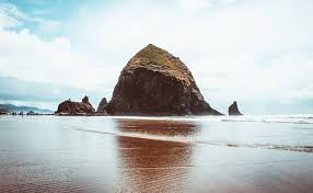 Explore professionally cleaned oregon coast vacation rentals. Oregon Coast Vacation Rentals Kona Coast Vacations