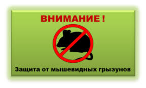 Регистрация и личный кабинет