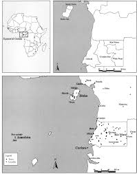 Image result for Dissotis congolensis