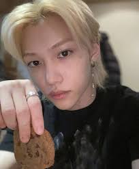 Labradors enjoying snowfall moments