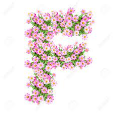 Zenspirations by joanne fink letter f instant . Letter F Alphabet With Zinnia Flower Abc Concept Type As Logo Typography Design Stock Photo Picture And Royalty Free Image Image 40321153