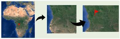 Image result for Synadenium angolense