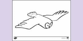 Baby fox cute fox colouring pages. Free Baby Owl Colouring Pages Teacher Made