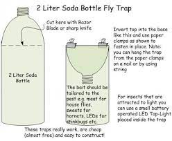How To Create A Homemade Fly Trap Homemade Fly Traps Diy Fly Trap House Fly Traps
