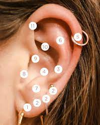 We did not find results for: The Ear Piercing Bible Astrid Miyu