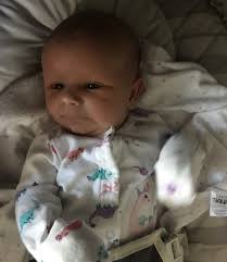 Alumni Newsletter, Summer 2019