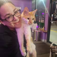 Fi Collars for Pet Tracking in Medina County, Ohio