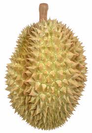 The durian fruit has a powerful odor reminiscent of decayed onions, limburger cheese and sherry wine. Discovering What Makes Durian Stink