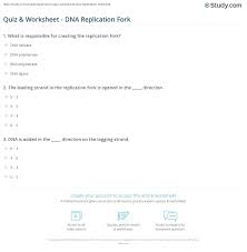 In advance of speaking about dna structure and replication worksheet answers, make sure you be aware that training is usually our own key to a more rewarding the next day, as well as discovering doesn't just halt after a education bell rings.in which currently being reported, most people provide selection of very simple still enlightening reports plus layouts manufactured ideal for any kind. Quiz Worksheet Dna Replication Fork Study Com