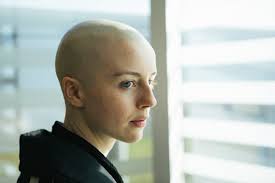 Panorama do Cinema Mundial