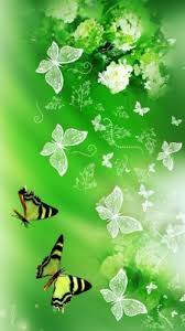 Download 5500 koleksi background warna hijau islami hd paling keren. Warna Hijau 640x1137 Wallpaper Teahub Io