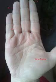 как по руке узнать сколько будет детей у женщины Foto Hiromantiya Dlya Nachinayushih V Kartinkah S Izobrazheniyami Hiromantiya Kartinki Hiropraktika