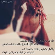 غيث بن سعيد الشريف galshreef98 تويتر horses animals