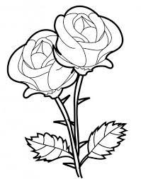 Floral brushes png bingkai bunga hitam putih png image with. Gambar Kehidupan Gambar Bunga Mawar Hitam Putih