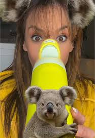 Owala Koala Water Bottle: An Ingenious Theory