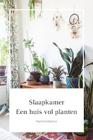 Planten Slaapkamer Mama Botanica In 2020 Planten Kamerplanten
