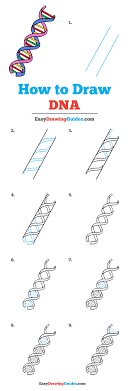 Pin On Dna
