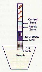 Just two pink lines on the stick can detect your pregnancy and provide you with immense happiness. Early Pregnancy Pregnancy Test Strips In Urdu Pregnancy Test