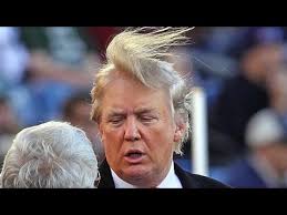 Image result for president trump hair