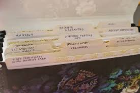 Baby Medical Record File Folder Baby Organization Baby Facts Baby Records