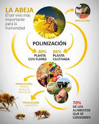 Pin En Juegos De Catedra Riycc2020