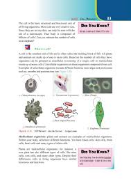 Bacteria lack a nucleus and their dna is more or less scattered within their cytoplasm. Ethiopia Learning Biology Grade 7 Page 39 In English