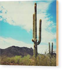 Canvas wall art for bedroom living room canvas prints artwork bathroom wall decor green plants succulent cactus flower painting 12 x 16 3 pieces modern framed ready to hang office home decorations. Arizona Saguaro Cactus Wood Print By Franckreporter