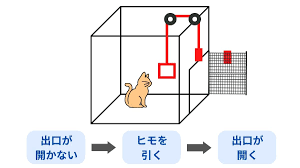 ソーンダイクの問題箱実験とは？猫を使った実験内容をわかりやすく解説 | やさびと心理学