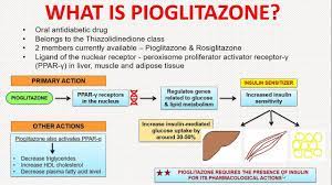 Pioglitazone Pharmacology Pharmacology Adipose Tissue Adipose