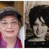 Julie Ann (Brinton) Williams Obituary