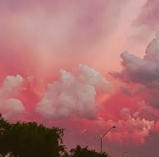 Northern california's redwood coast is the no. Sky America And Aesthetic Image 7238708 On Favim Com