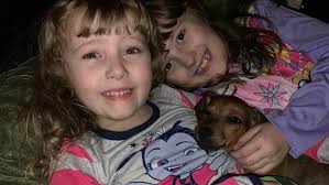 Fundraiser for Erin Ryan by Lindsay Rahel : Please help Biscuit!