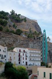 Image result for Sutera debilis