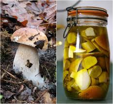 Cepes Preparation Cuisson Conservation Et Idees Recettes Champignons Farcis Cepes Idee Recette