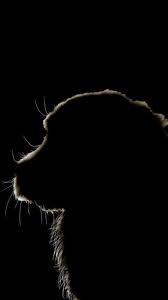 Download Dog Wallpaper By Zclau Now Browse Millions Of Popular Cute Wallpapers And Ringtones On Zedge And Per Dog Wallpaper Dog Silhouette Silhouette Painting