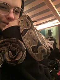 Rough scaled python behavior and care tips needed