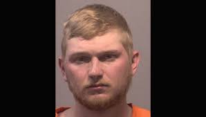 Driver who hit buggy killing 3 kids: 'had too many'