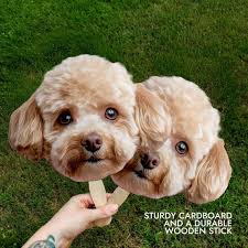 Custom Big Head Cutout Pet Face