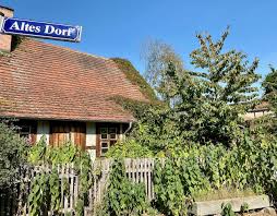 Auf Zeitreise Durchs Mittelalter In Der Altmark Zwischen Stendal Und Tangermunde Zeitreise Reisen Mittelalter