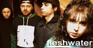 ANNOUNCING (12/11): Fleshwater with Modern Color and 9Million Sat, May 11  // Cat's Cradle Back Room On Sale: Thursday, December 14th @ 10am Local