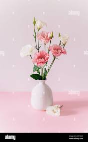 Image result for eustoma lisianthus in vase