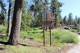 Not all campgrounds are created equal, so this guide is here to help you find the right one and get the most out of your vacation to the redwoods. 6 Best Campgrounds In Sequoia National Park Planetware