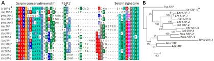 Casas del cerro, las eras, la gila, marimínguez, tolosa y zulema. Sc Srp 6 Shares Rcl Signatures And Has Phylogenetic Relationships With Download Scientific Diagram