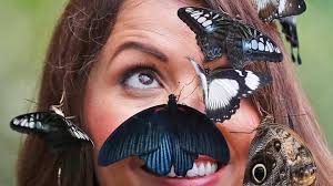 Check spelling or type a new query. Kupu Kupu Tak Cuma Cantik Tapi Juga Identik Mitos Apa Saja Itu Cantik Tempo Co
