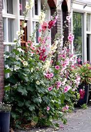 Vous souhaitez trouver un artisan de confiance, à proximité de chez vous, au bon prix et sans engagement ? Pin On Jardinage