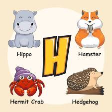 Cute Animals Alphabet Letter H In 2020 Animal Alphabet Letters Cute Animals Animal Alphabet