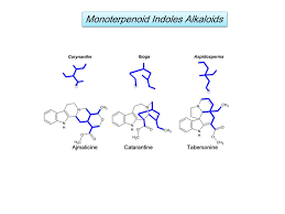 Image result for Corynanthe
