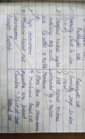 Check spelling or type a new query. 5 Differences Between Prokaryotic And Eukaryotic Cells Brainly In